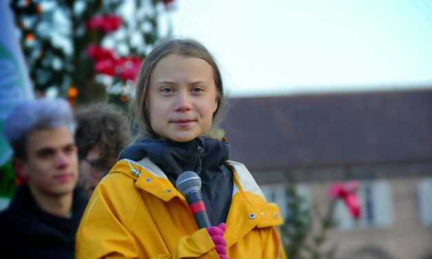Greta Thunberg alerta: “Nós estamos ignorando soluções climáticas naturais”.