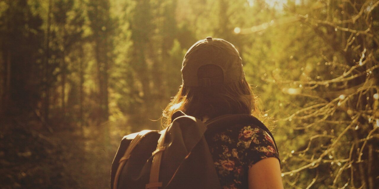 O que é o ambientalismo interseccional?