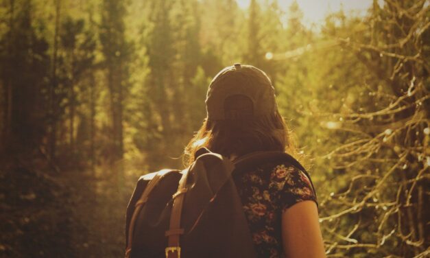 O que é o ambientalismo interseccional?