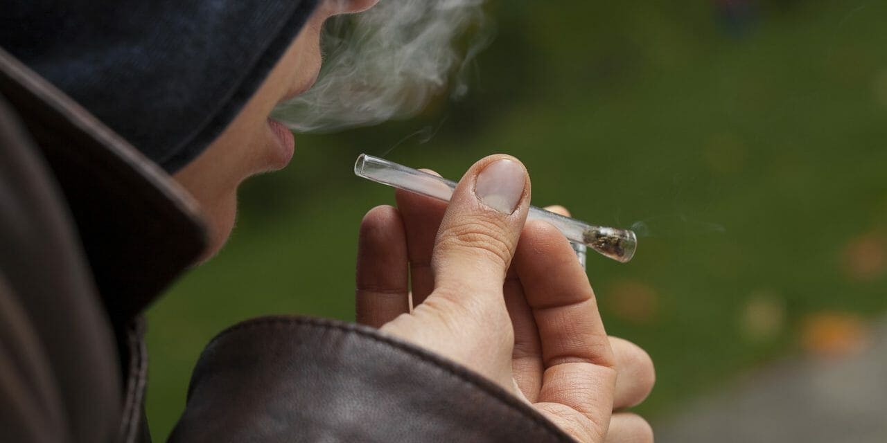 Legalização da Maconha no Brasil: 3 mitos jurídicos desmascarados