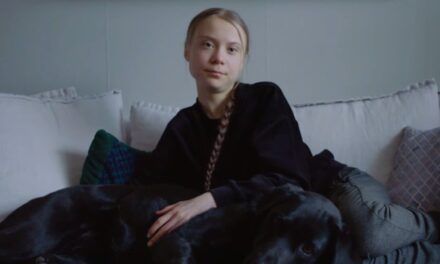 “O Nosso Relacionamento com a Natureza está Quebrado”, diz Greta Thunberg