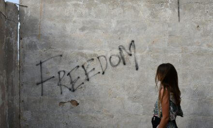 Opiniões Consultivas da Corte Interamericana de Direitos Humanos